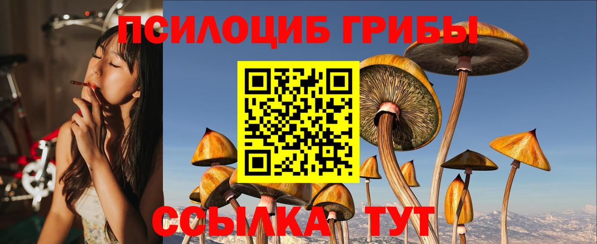 Галлюциногенные грибы Psilocybe  Вход с VPN  Луга 