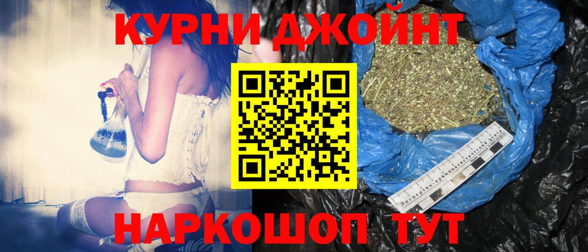 Конопля сатива Луга